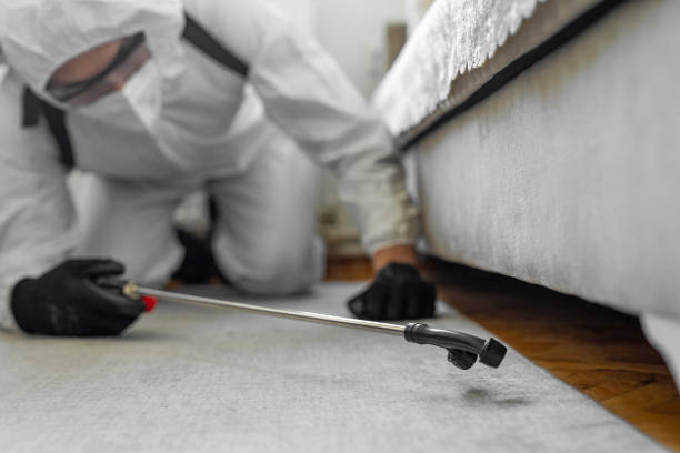 Professional Pest Control technician working in Oviedo, FL