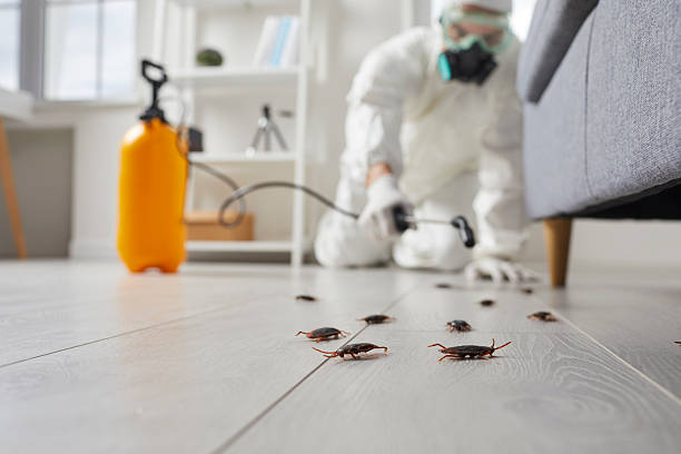 Trusted Termite Control service in Oviedo, FL - Nex Pest Control