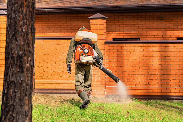 Trusted Cockroach Control service in Oviedo, FL - Nex Pest Control